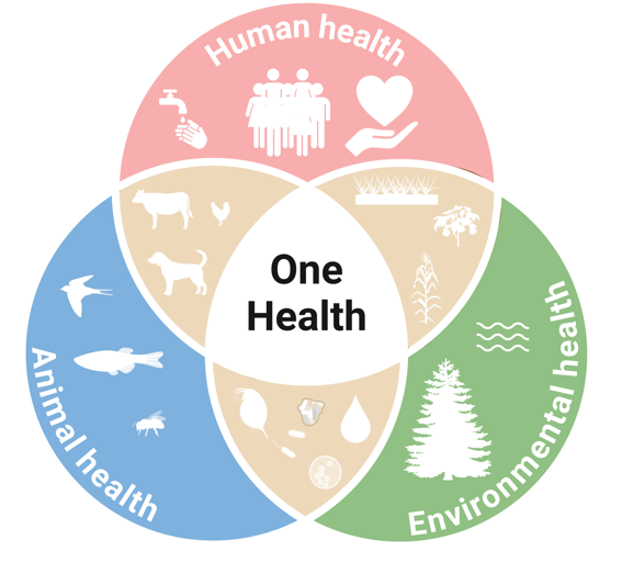 Hazard Identification and Risk Assessment of Chemicals within a One Health Context